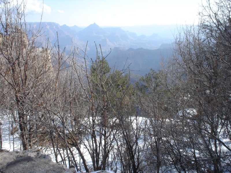 dsc02085.jpg