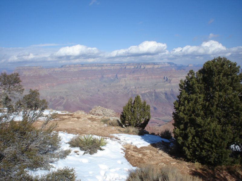 dsc02091.jpg