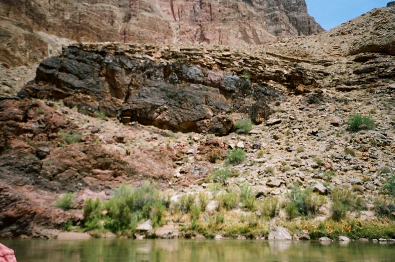 photo42.jpg