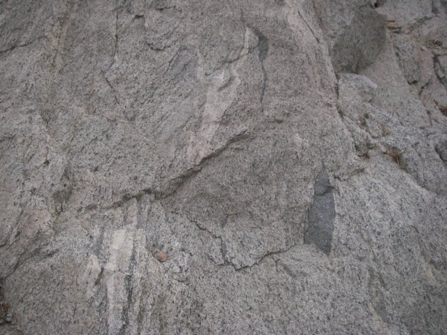 palmspringsquartzdioritegneiss.jpg