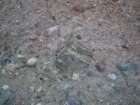 imgp8148_small.jpg