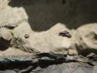 imgp3667_small.jpg
