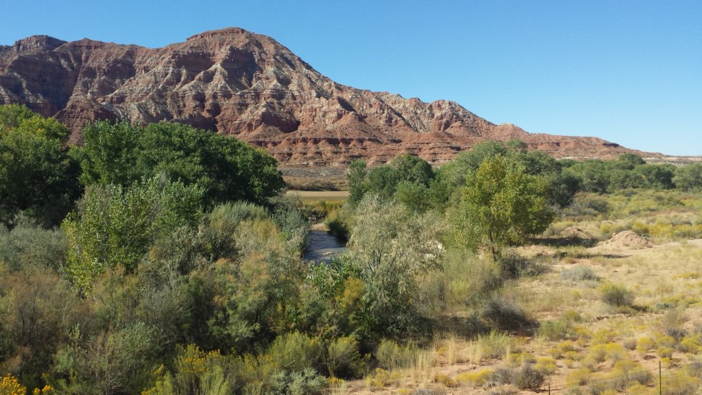 virginriverbelowzionnationalpark.jpg