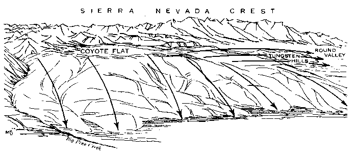 Figure 9-Sketch of the Coyote Warp, between Big Pine and Bishop, illustrating the ramp-like nature of the eastern Sierra Nevada front (from Von Huene and others, 1963)