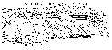 Figure 9-Sketch of the Coyote Warp.