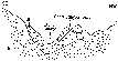 Figure 11-Schematic cross section sketch of Bishop Creek Canyon and Sand Canyon