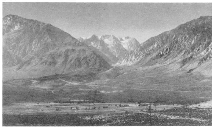 Plate 8 - Pine Creek Canyon