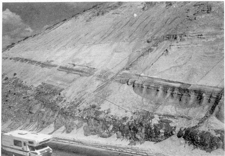 Plate 9 - Big Pumice Cut, south of Tom's Place