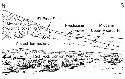 Figure 2-El Paso fault