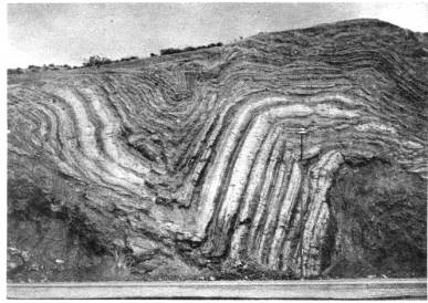Plate 1-Deformed Pliocene Anaverde formation in roadcut just north of San Andreas fault trace, near Palmdale. Photo by Amalie J.
Brown.