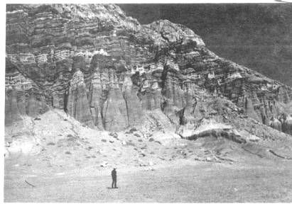 Plate 2-Miocene lower Ricardo Formation, Red Rock Canyon. Stop 3.
Photo by Bruce Bilodeau.
