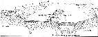 Figure 6-Diagrammatic cross section of Owens Valley, the Alabama Hills, the Sierra Nevada, and the Inyo Mountains near Lone Pine (from Von Huene and others, 1963).